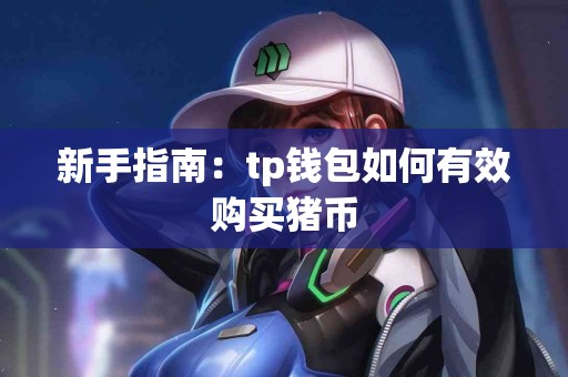 新手指南：tp钱包如何有效购买猪币