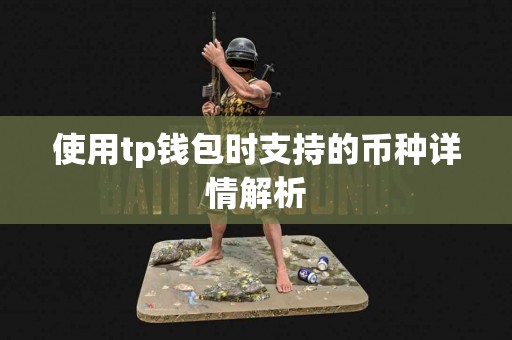 使用tp钱包时支持的币种详情解析