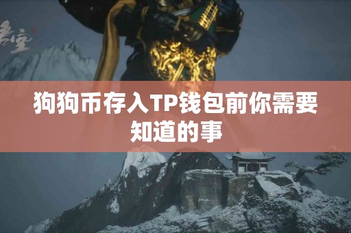 狗狗币存入TP钱包前你需要知道的事