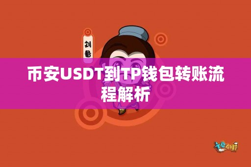 币安USDT到TP钱包转账流程解析