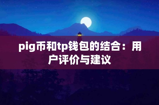 pig币和tp钱包的结合：用户评价与建议
