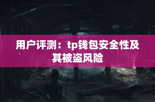 用户评测：tp钱包安全性及其被盗风险