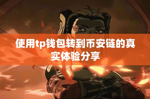 使用tp钱包转到币安链的真实体验分享