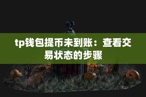 tp钱包提币未到账：查看交易状态的步骤