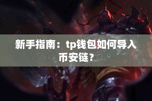 新手指南：tp钱包如何导入币安链？