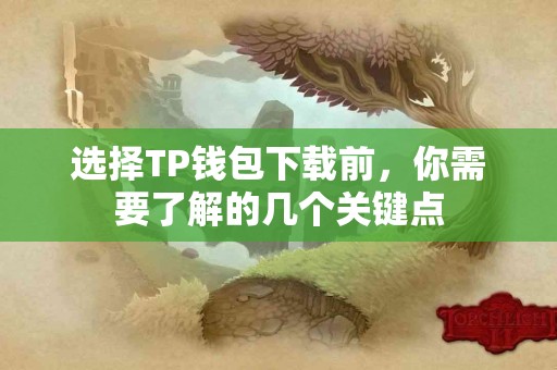 选择TP钱包下载前，你需要了解的几个关键点