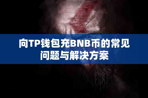 向TP钱包充BNB币的常见问题与解决方案