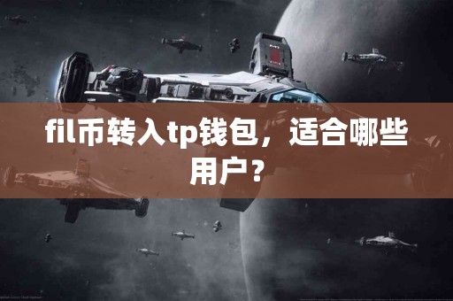 fil币转入tp钱包，适合哪些用户？