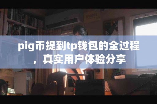 pig币提到tp钱包的全过程，真实用户体验分享