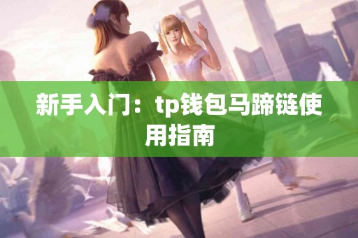 新手入门：tp钱包马蹄链使用指南