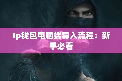 tp钱包电脑端导入流程：新手必看