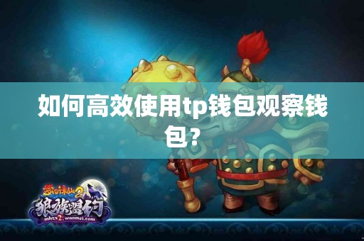 如何高效使用tp钱包观察钱包？
