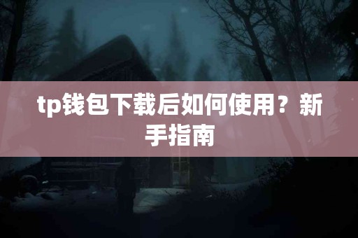tp钱包下载后如何使用？新手指南