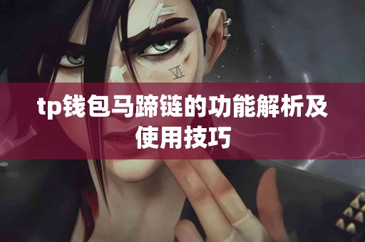 tp钱包马蹄链的功能解析及使用技巧