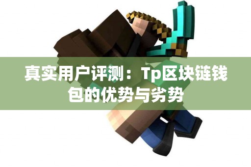 真实用户评测：Tp区块链钱包的优势与劣势