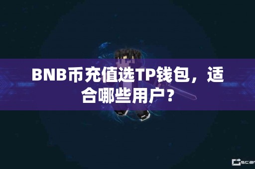 BNB币充值选TP钱包，适合哪些用户？
