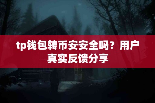 tp钱包转币安安全吗？用户真实反馈分享