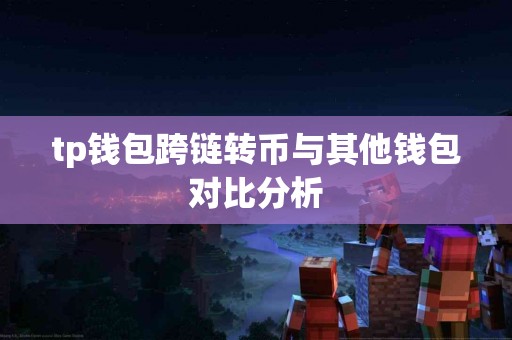 tp钱包跨链转币与其他钱包对比分析