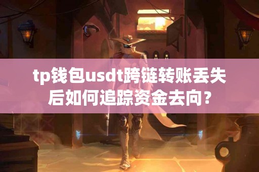 tp钱包usdt跨链转账丢失后如何追踪资金去向？