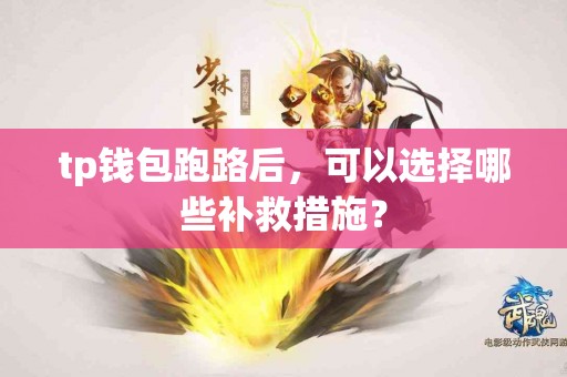 tp钱包跑路后，可以选择哪些补救措施？