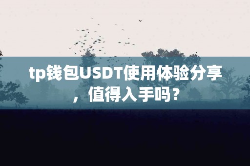tp钱包USDT使用体验分享，值得入手吗？