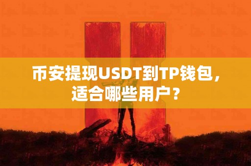 币安提现USDT到TP钱包，适合哪些用户？