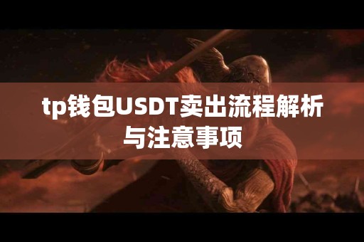 tp钱包USDT卖出流程解析与注意事项