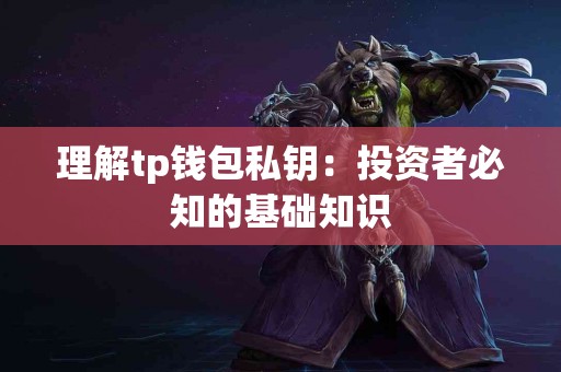 理解tp钱包私钥：投资者必知的基础知识