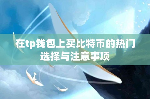 在tp钱包上买比特币的热门选择与注意事项