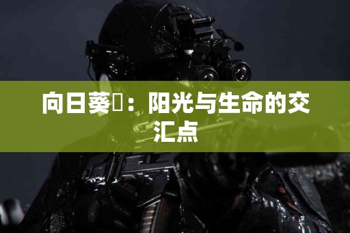 如何降低tp钱包被盗的可能性？实用技巧分享