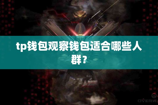 tp钱包观察钱包适合哪些人群？