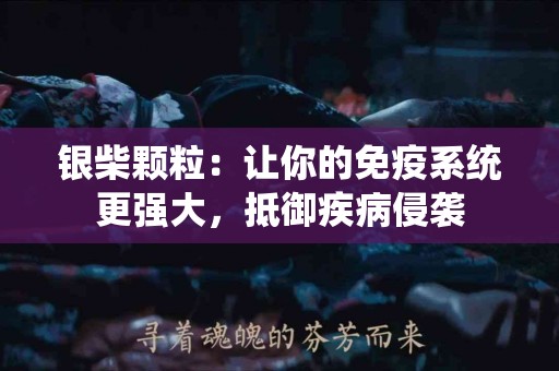 银柴颗粒：让你的免疫系统更强大，抵御疾病侵袭