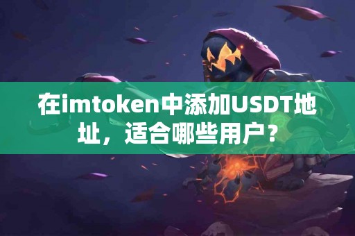 在imtoken中添加USDT地址，适合哪些用户？