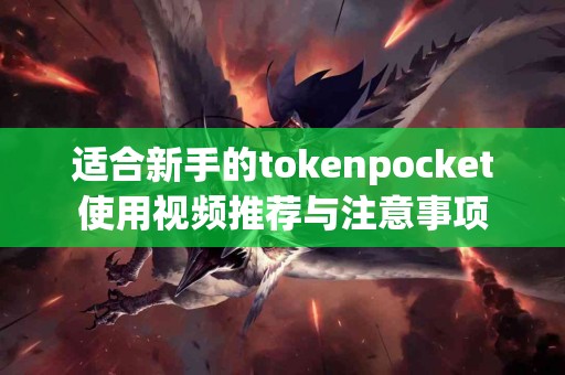 适合新手的tokenpocket使用视频推荐与注意事项
