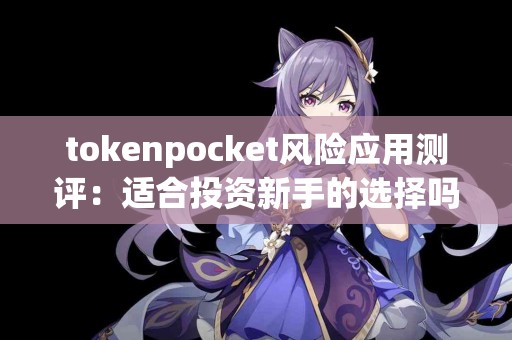 tokenpocket风险应用测评：适合投资新手的选择吗？