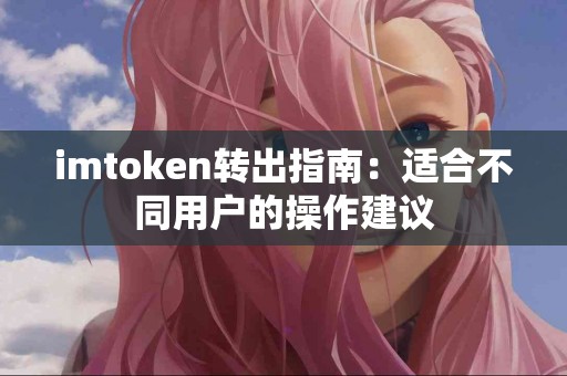 imtoken转出指南：适合不同用户的操作建议