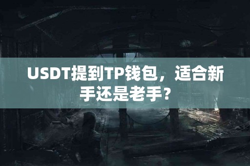 USDT提到TP钱包，适合新手还是老手？