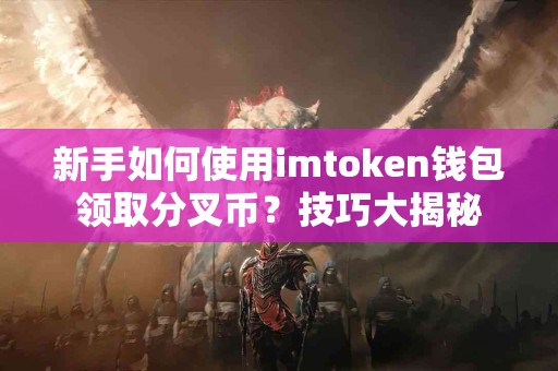 新手如何使用imtoken钱包领取分叉币？技巧大揭秘