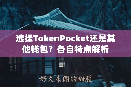 选择TokenPocket还是其他钱包？各自特点解析