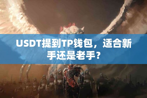 USDT提到TP钱包，适合新手还是老手？