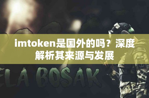 imtoken是国外的吗？深度解析其来源与发展