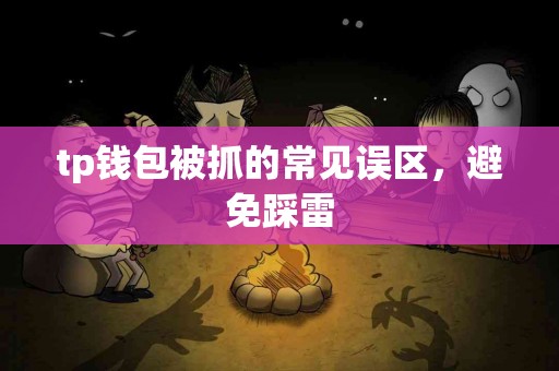 tp钱包被抓的常见误区，避免踩雷