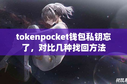tokenpocket钱包私钥忘了，对比几种找回方法