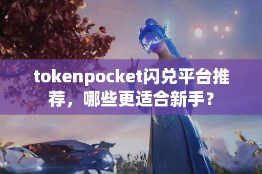 tokenpocket闪兑平台推荐，哪些更适合新手？