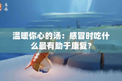 温暖你心的汤：感冒时吃什么最有助于康复？