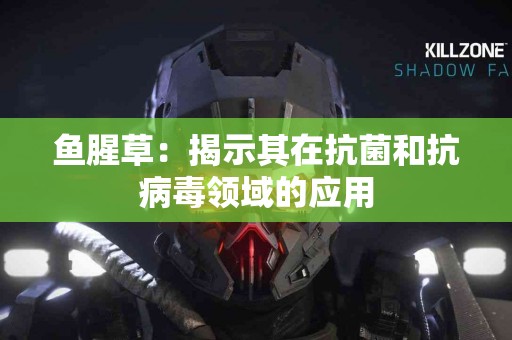 鱼腥草：揭示其在抗菌和抗病毒领域的应用